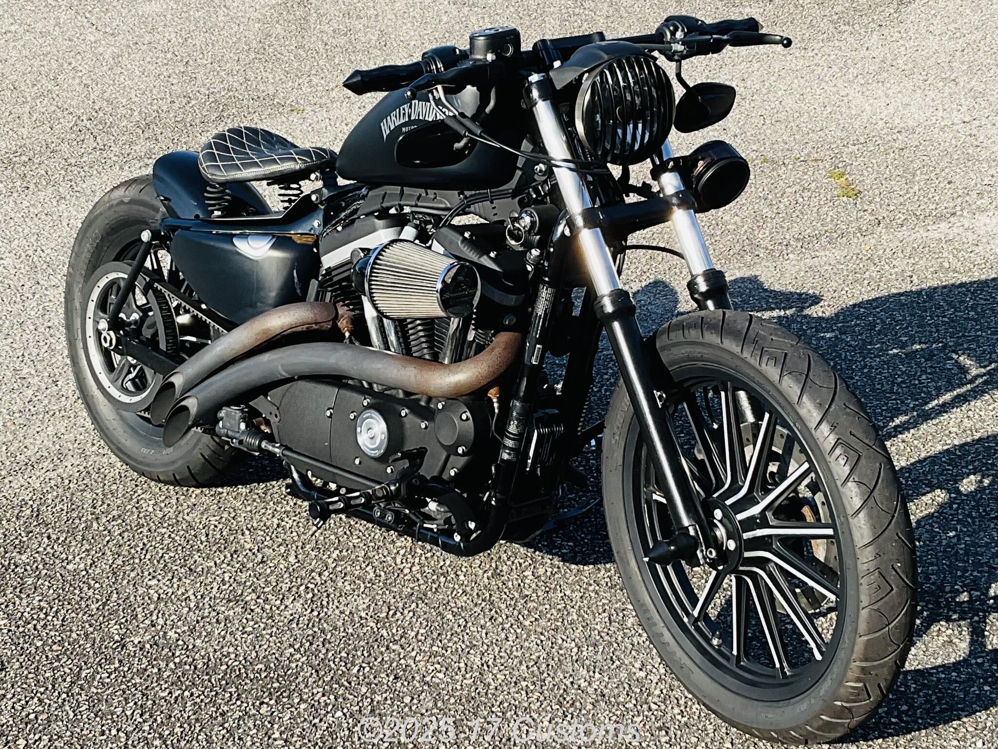 2014 Harley-Davidson Sportster Iron